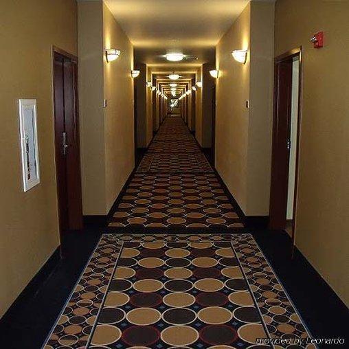 Irish Inn And Suites Muleshoe Eksteriør billede